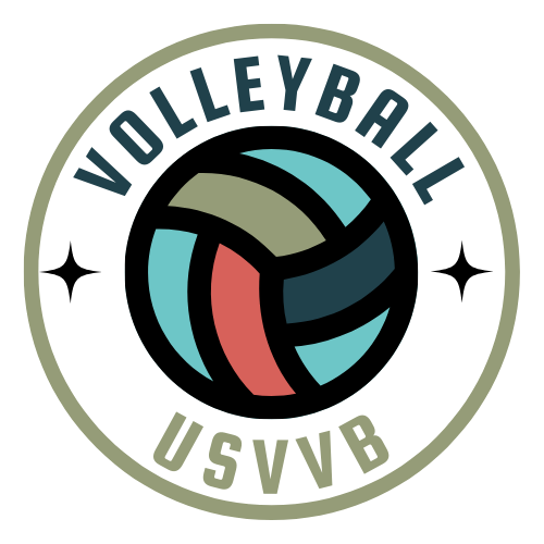 logo Villeurbanne Volley-Ball